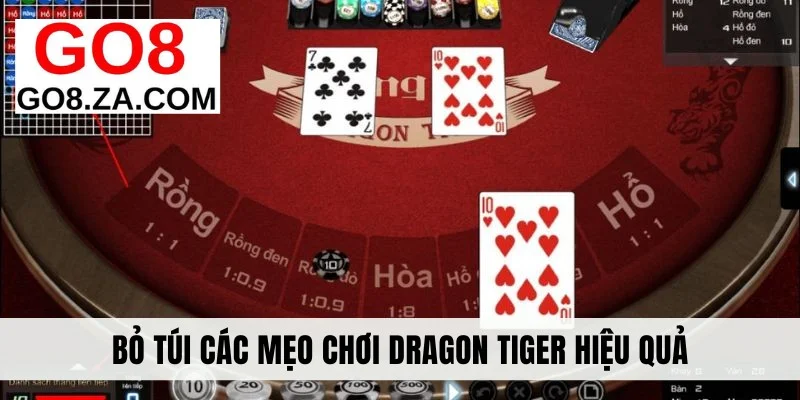 Bỏ túi các mẹo chơi Dragon Tiger hiệu quả