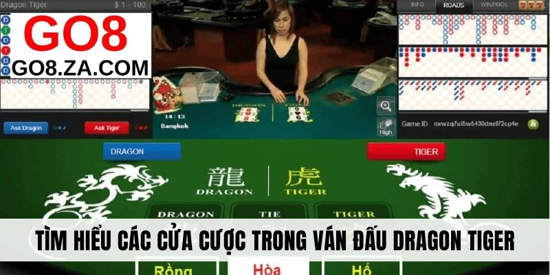 Tìm hiểu các cửa cược trong ván đấu Dragon Tiger